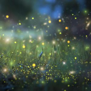 大美女🐻100%露出奶头视频
