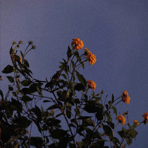 大美女🐻100%露出奶头视频
