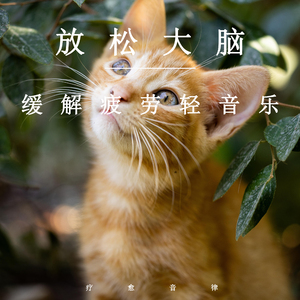 大美女🐻100%露出奶头视频
